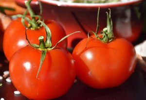 healthy tomatoes